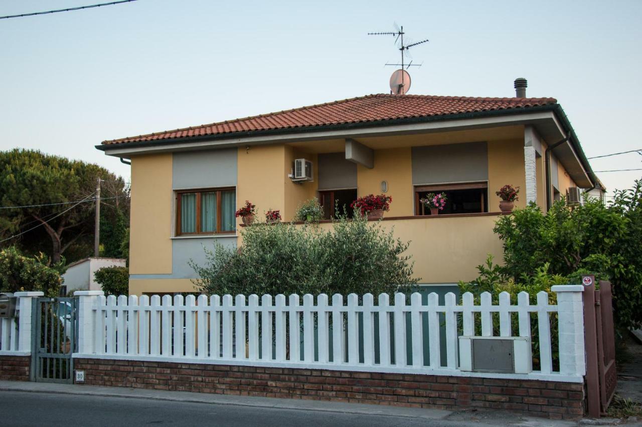 Luca'S Home In Tuscany Arena Metato Dış mekan fotoğraf